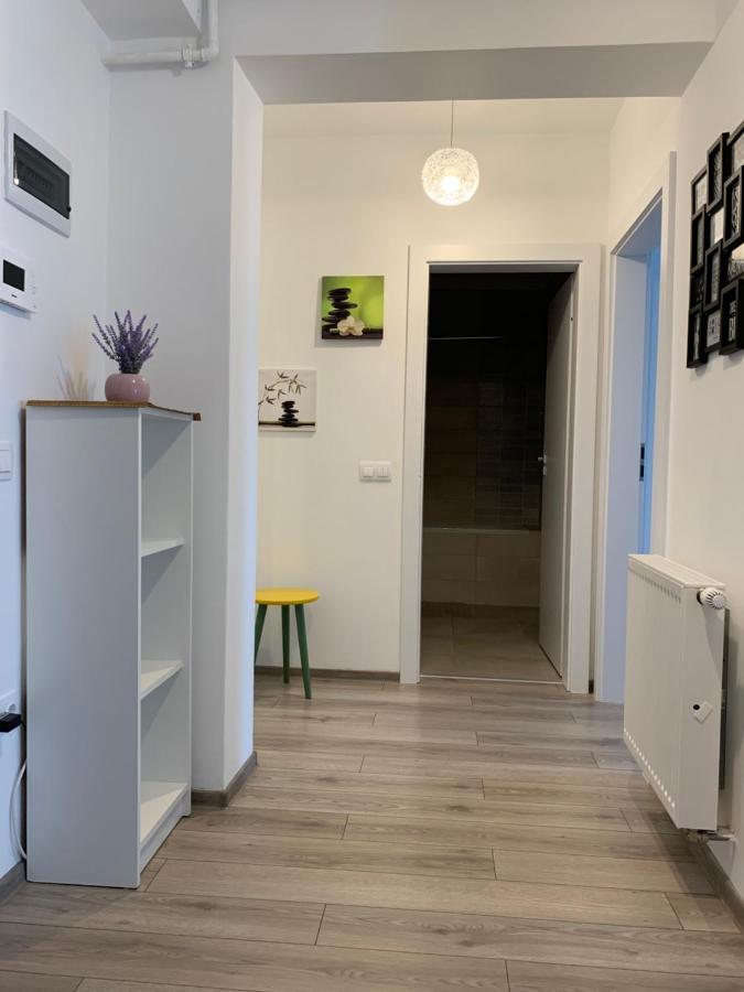 Апартаменты Apartament Sara Тыргу-Муреш Экстерьер фото